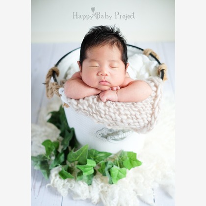 Happy Baby Projectが撮影したその他の写真