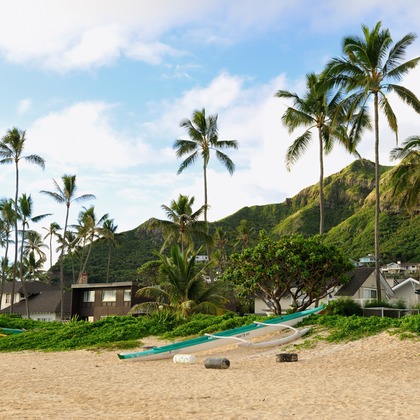 マイクロコズム合同会社が撮影した「:albumName」の写真