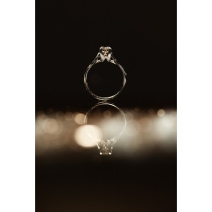 Photo of :albumName taken by shigephoto