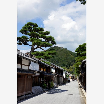 蛭子真写真事務所が撮影したウェディングや家族、ビジネスの写真