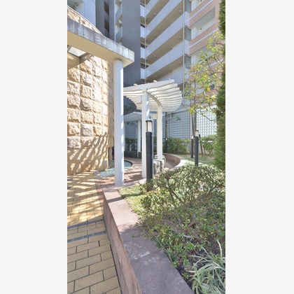 Photo Mが撮影した「:albumName」の写真