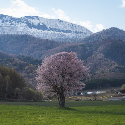 芳賀 翔大が撮影した「北海道」の写真