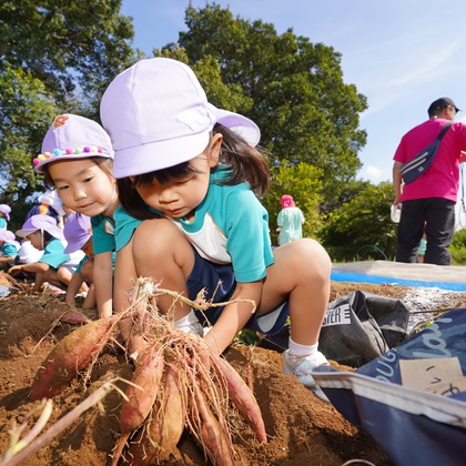 スタジオ　まるが撮影した「:albumName」の写真