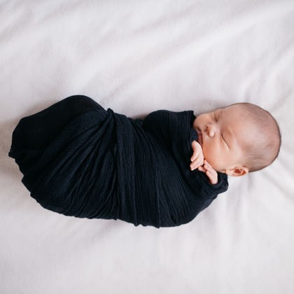 植村由理が出張撮影した多年生植物, 花粉, つま先などが写った「マリちゃん」の家族写真