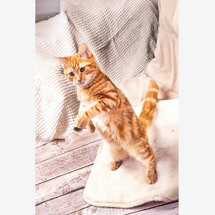 本郷直人が撮影した「:albumName」の写真