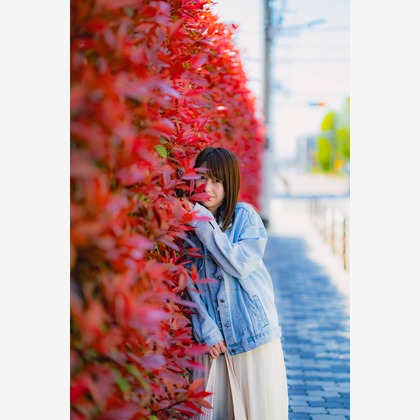 memophotoが撮影したウェディングや家族、ビジネスの写真