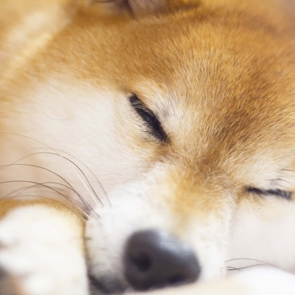 インスタントソイ合同会社　井上泰徳が撮影したウェディングや家族、ビジネスの写真