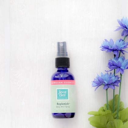 なかがわさとみが撮影した「:albumName」の写真