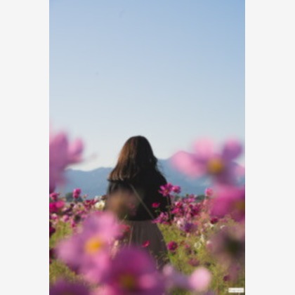 堀田佳資が撮影した「ポトレ」の写真