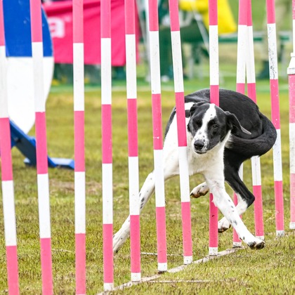 スタジオファンタスが撮影した「:albumName」の写真