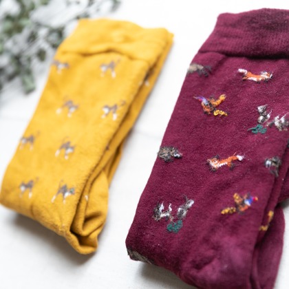 安藤栞里が撮影した商品/物撮りの写真