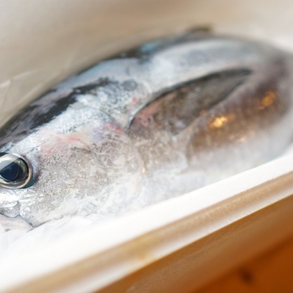 出張撮影のメモリーズが撮影した「:albumName」の写真