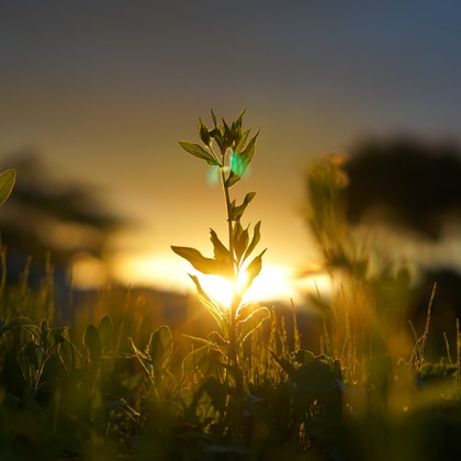 出張撮影のメモリーズが撮影した「:albumName」の写真