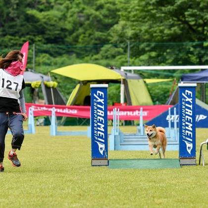 スタジオファンタスが撮影した「:albumName」の写真