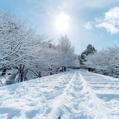 三谷 朋也が撮影した「:albumName」の写真