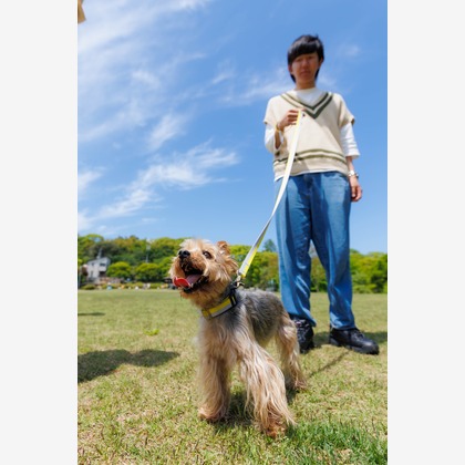 T.Matsumuraが出張撮影した「ペットと一緒に家族撮影」の家族写真