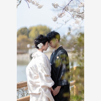 Photo of Kyoto　Prewedding photo with cherryblossom taken by saruco(Hisashi Iwasaki)