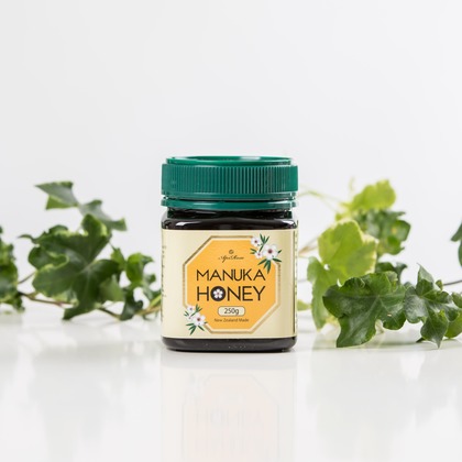 辻本俊輔が撮影した「:albumName」の写真