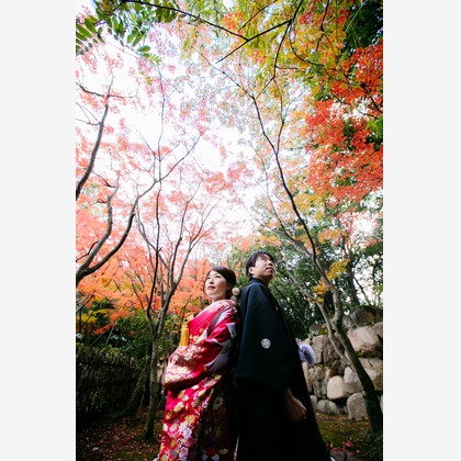 Tomi Photo Studioが撮影したウェディングや家族、ビジネスの写真