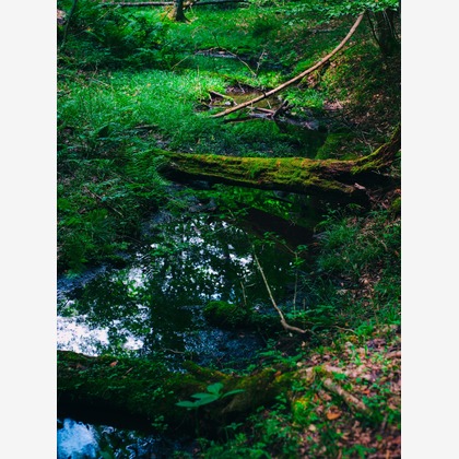 ATELIER SO_MARUが撮影した店舗/オフィス/サロン撮影/商品/物撮り/不動産/竣工/人物撮影の写真