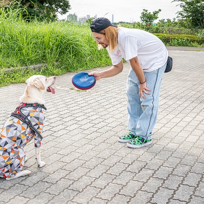 吉田佳央が撮影した「DOG SHOOTING」の写真