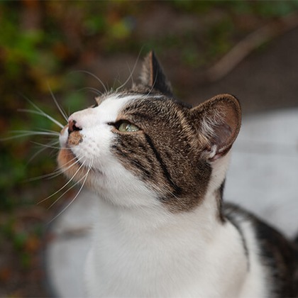 十時写真事務所が撮影したウェディングや家族、ビジネスの写真