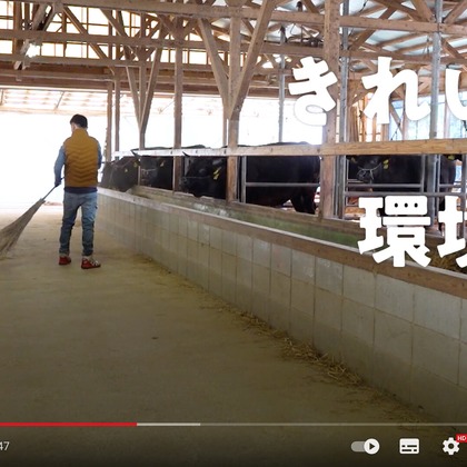 Castella Designが撮影した動画撮影の写真