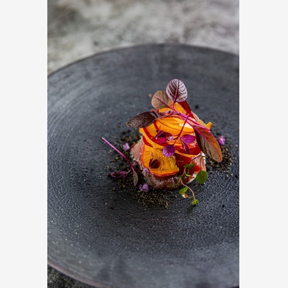 後藤拓海が撮影したウェディングや家族、ビジネスの写真