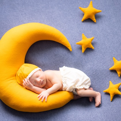 合同会社PHOTO FACTORY LARが撮影した「:albumName」の写真