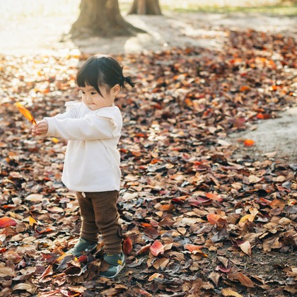 神宮啓佑が撮影した「:albumName」の写真