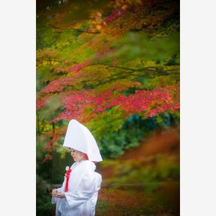 ピュアアーティス(小島 靖雄)が撮影した「:albumName」の写真