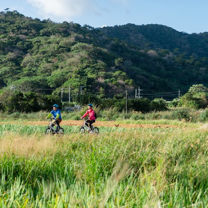 和田海人が撮影した「:albumName」の写真