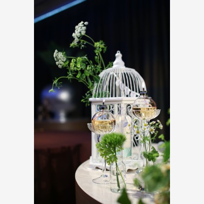 Photo of :albumName taken by SATOMI NAKAGAWA