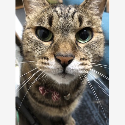 OFFICE CHが撮影したその他の写真