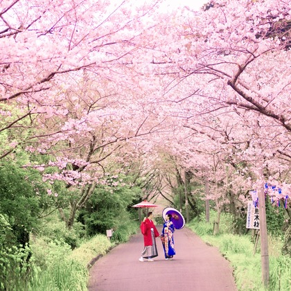 8StarWeddingが撮影した「佐原」の写真