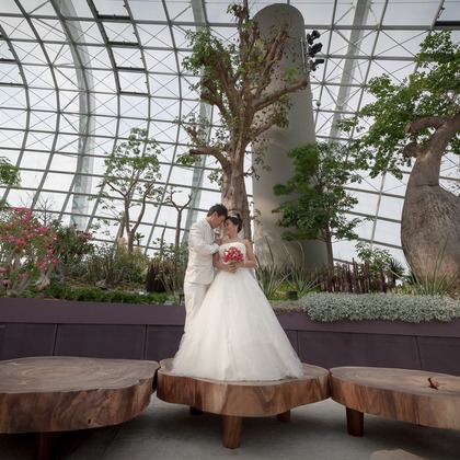 Photo of  taken by Truphotos