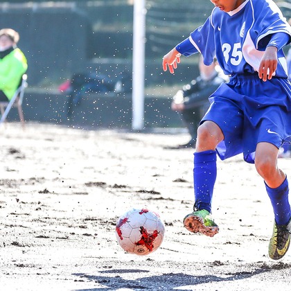 Minminが撮影したその他の写真