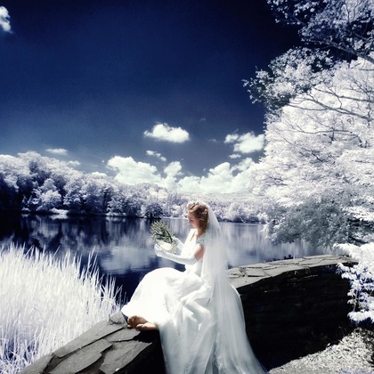 RANMARU  STYLEが撮影した「フォトギャラリー」の写真