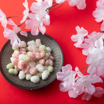 写真屋ごんちゃんが撮影した「:albumName」の写真