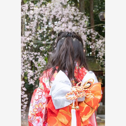 スマイルグローバルフォトが撮影した七五三フォトの写真