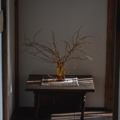 イチフォトが撮影した「:albumName」の写真