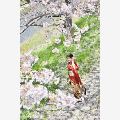 タコヤキが撮影した成人式撮影の写真