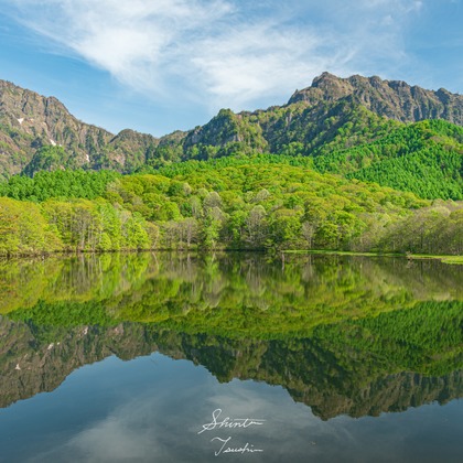 Shintaro Tsushimaが撮影した店舗/オフィス/サロン撮影の写真