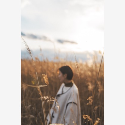 高田晃司が撮影した「:albumName」の写真