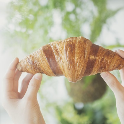 笠井鉄正写真事務所が撮影した「:albumName」の写真