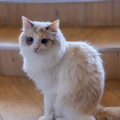 沖山俊樹が撮影した「:albumName」の写真