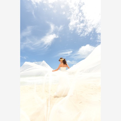 Photo of :albumName taken by TOMOPHOTOHawaii