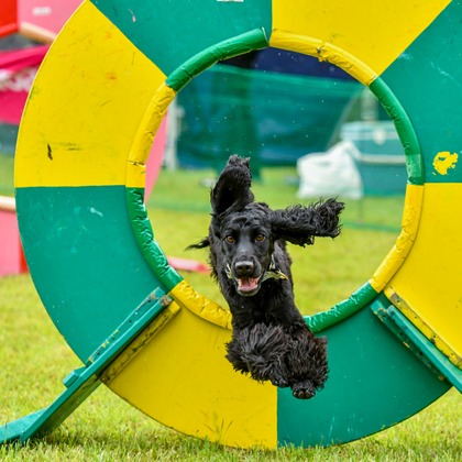 スタジオファンタスが撮影した「:albumName」の写真