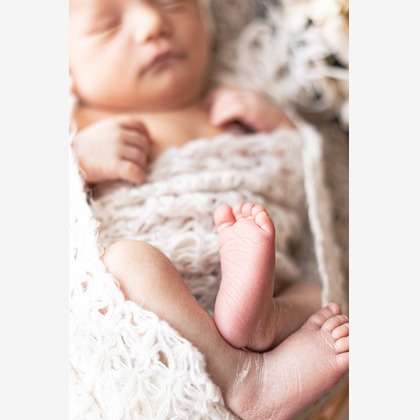 kudophotoが撮影したニューボーンフォト/家族写真の出張撮影の写真