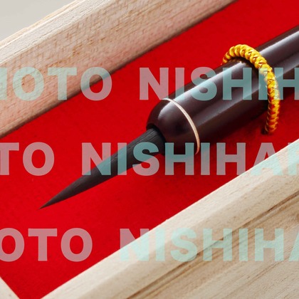 西原毅が撮影した「:albumName」の写真